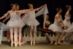 ballettnuembrecht23-12-2013005