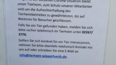 2020-03-19-Tierheim