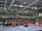 Deutschland-Oesterreich-Schwalbe-Arena-Gummersbach_030