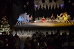 ballettnuembrecht23-12-2013004