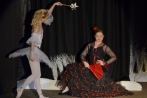 ballettnuembrecht23-12-2013007