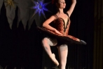 ballettnuembrecht23-12-2013019