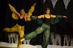 ballettnuembrecht23-12-2013024