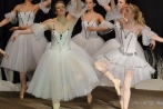 ballettnuembrecht23-12-2013038