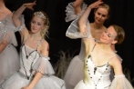 ballettnuembrecht23-12-2013039