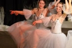 ballettnuembrecht23-12-2013042