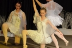 ballettnuembrecht23-12-2013045