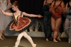 ballettnuembrecht23-12-2013059