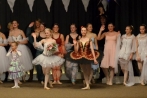 ballettnuembrecht23-12-2013063