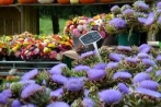 bauernmarktlindlar24-08-2013010