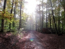 Schlossbergweg08.11.2014035