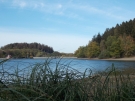 Gras-Herbstlandschaft Brucher See
