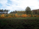 Herbstlandschaft