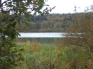Herbstmomente Brucher See