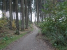 Waldweg