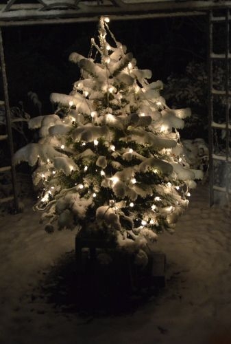 nikolausschnee06-12-2013002-2