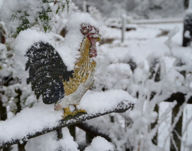nikolausschnee06-12-2013004-2