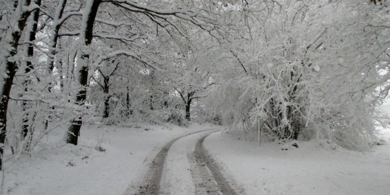 nikolausschnee06-12-2013010