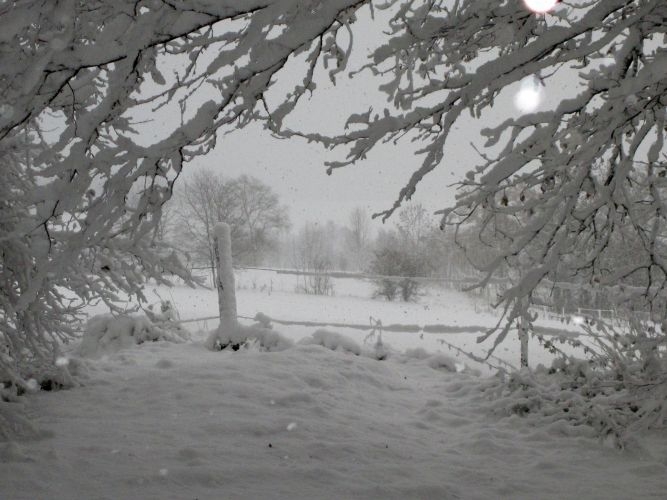 nikolausschnee06-12-2013011