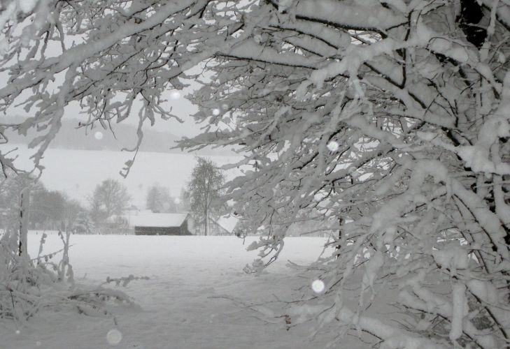 nikolausschnee06-12-2013012