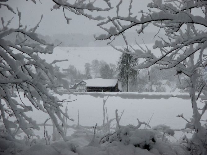 nikolausschnee06-12-2013013