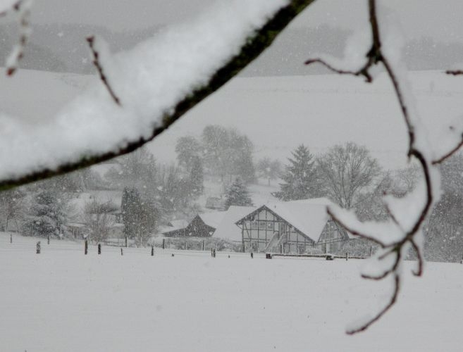 nikolausschnee06-12-2013015