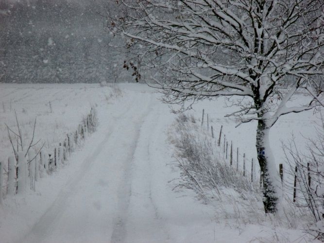 nikolausschnee06-12-2013016