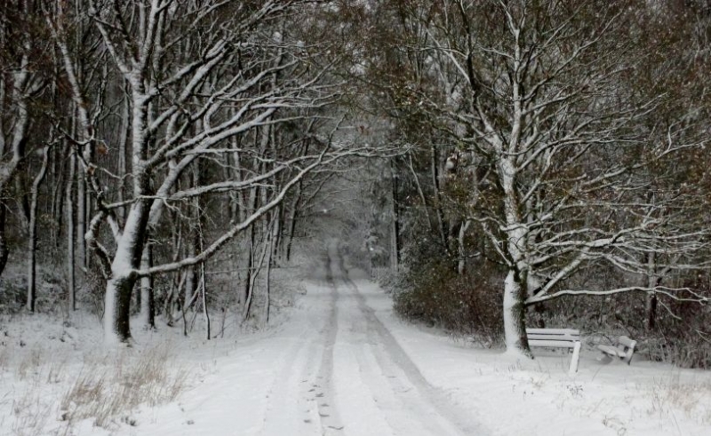 nikolausschnee06-12-2013018