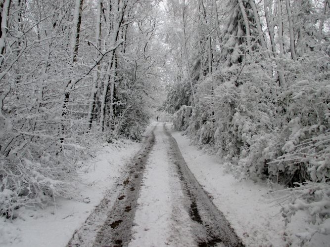 nikolausschnee06-12-2013021