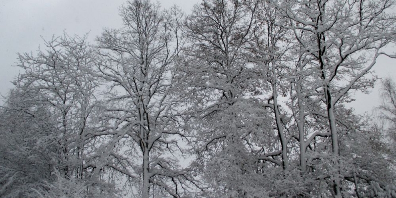 nikolausschnee06-12-2013022