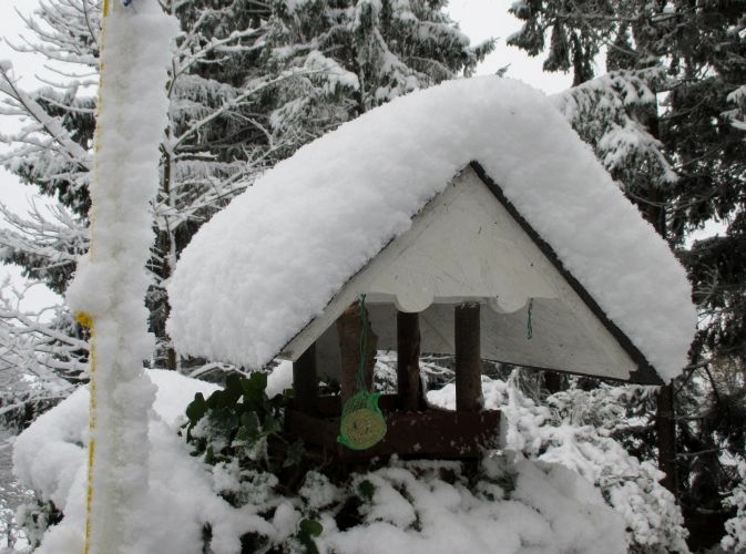 nikolausschnee06-12-2013023