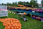 obstwiesenfest06-10-2013007