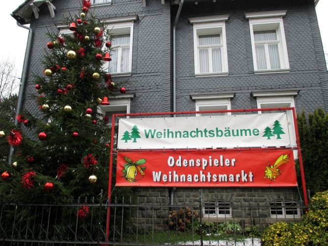 odenspiel08-12-2013002
