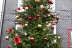 odenspiel08-12-2013004