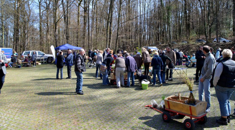 pflanzentauschboerse20-04-2013013