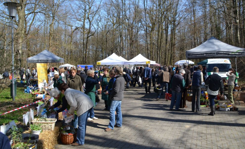 pflanzentauschboerse20-04-2013014