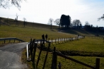 prozessionswanderweg01-04-2013044