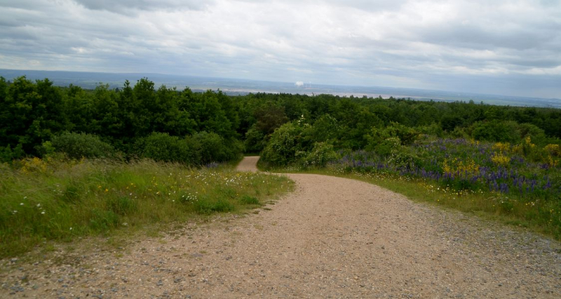 hambach-sophienhoehe28-06-2013007