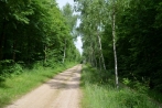 hambach-sophienhoehe28-06-2013020