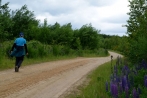 hambach-sophienhoehe28-06-2013022