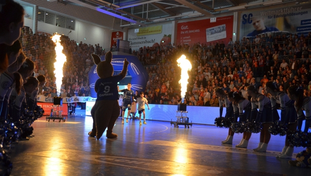 VfL-Flensburg12.04.2015002.jpg