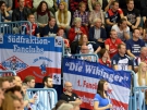 VfL-Flensburg12.04.2015019.jpg