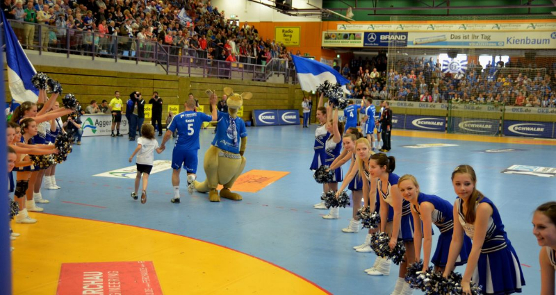 vfl-lemgo18-05-2013004