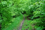 kindelsbergwanderung30-05-2013002