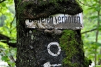 kindelsbergwanderung30-05-2013003