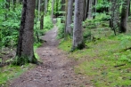 kindelsbergwanderung30-05-2013004