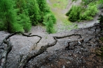 kindelsbergwanderung30-05-2013013