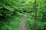 kindelsbergwanderung30-05-2013038