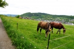 kindelsbergwanderung30-05-2013041