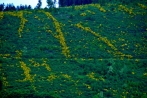 kindelsbergwanderung30-05-2013042